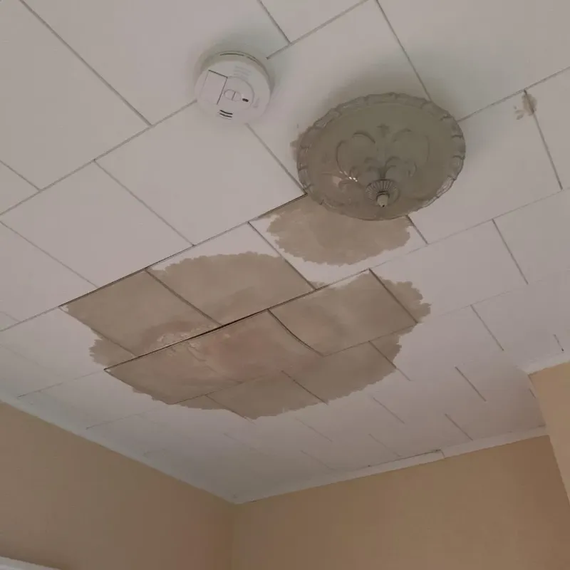Ceiling Water Damage Repair in Watervliet, NY