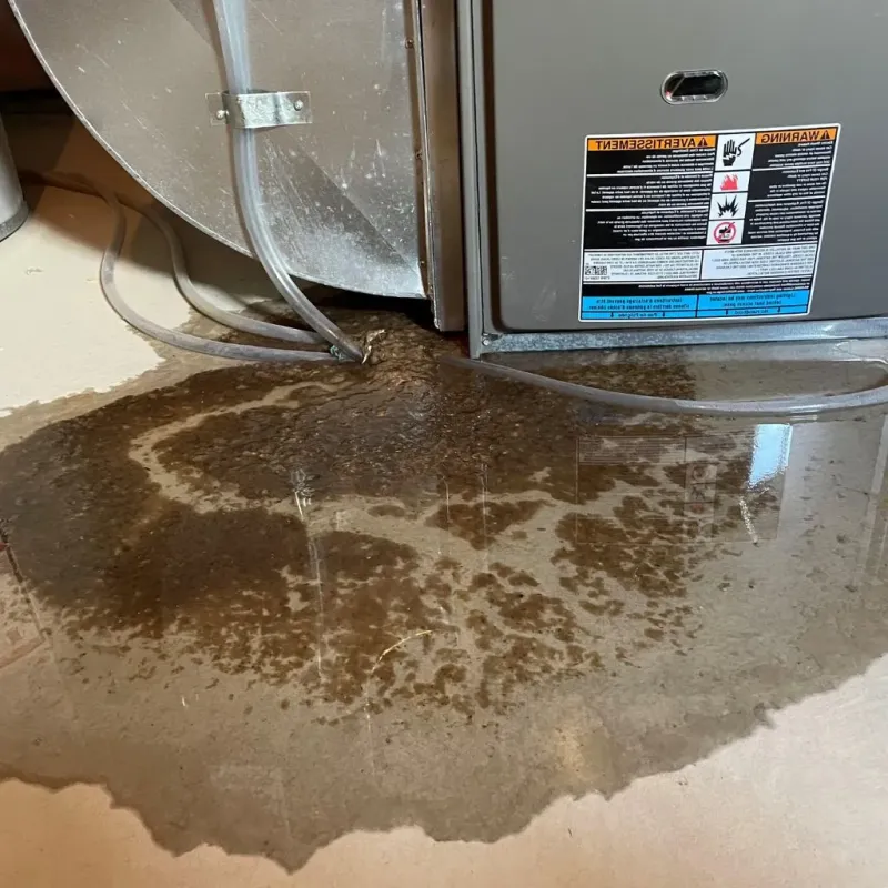 Pipe Burst and Leak Restoration in Watervliet, NY