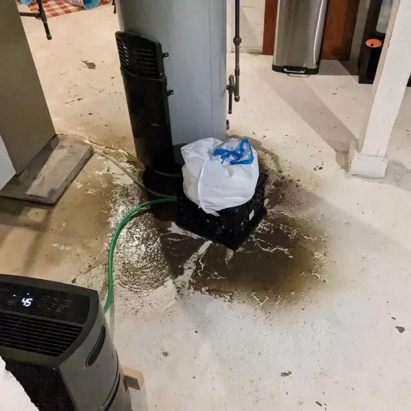 Sewage Backup Cleanup Service in Watervliet, NY